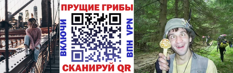 купить Нягань Галлюциногенные грибы ЛСД