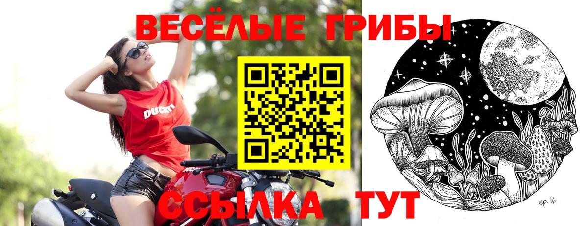 Галлюциногенные грибы ЛСД  Вход с VPN  Галлюциногенные грибы Cubensis  Нягань 